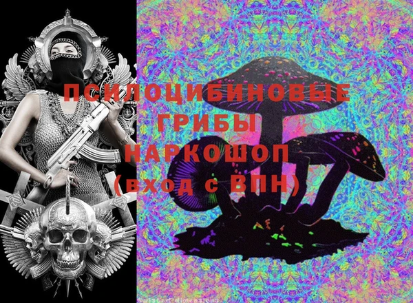 герыч Арсеньев